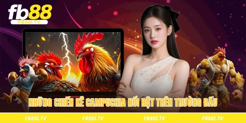 Những chiến kê Campuchia nổi bật trên trường đấu